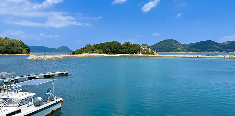港湾土木資材が使われる海岸